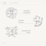 A LA MAISON Hand Soap Refill Pouch – Jasmine & Santal– Liquid Hand Wash Refill, Eco-Friendly & Recyclable – Plant-Based, Biodegradable, Made in France – 16.9 fl oz – Amber Collection