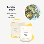 Calyan Wax Co. Lemon & Sage 2 Wick Scented Candle - 37 Hour Burn - Luxury Non Toxic Soy Wax Candles - Long Lasting Large Glass Jar Candle for Home - 8.8oz