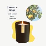 Calyan Wax Co. Lemon & Sage Scented Candle - 75 Hour Burn - Luxury Non Toxic Soy Wax Candles - Long Lasting Black Tumbler Jar Candle for Home - 10.2oz
