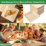Perfectware Earth Friendly All Natural Premium Quality 100% Compostable & Biodegradable 5 Inch Birch Wood Disposable Plates. Great for Parties, Wedding Events (5.5" x 5.5" Appetizer Plate) 25 pc