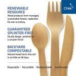 Woodable Disposable Wooden Cutlery Set - 100% Home Compostable - Wooden Utensils, Eco-Friendly, Organic, Sustainable and Carbon Neutral Certified - Fork, Knife, Spoon & Napkin - 150