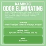 Bamboo Two Pack Odor Eliminating Highly Fragranced Candles - Eliminates 95% of Pet, Smoke, Food, and Other Smells Quickly - Up to 80 Hour Burn time - 12 Ounce Premium Soy Blend