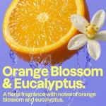 ATTITUDE Body Wash, EWG Verified Shower Gel, Dermatologically Tested, Plant and Mineral-Based, Vegan Personal Care Products, Orange Blossom & Eucalyptus, 16 Fl Oz