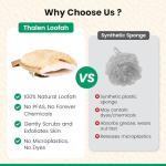 Natural Loofah Exfoliating Body Scrubber | Plastic Free, Non-Toxic, No PFAS, Organic Lufa Sponge | Lufas for Women | Bath Sponge | Zero Waste Egyptian Loofah Pack of 3 - Brown Cedar