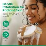 Natural Loofah Exfoliating Body Scrubber | Plastic Free, Non-Toxic, No PFAS, Organic Lufa Sponge | Lufas for Women | Bath Sponge | Zero Waste Egyptian Loofah Pack of 3 - Brown Cedar