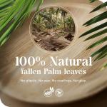 Palma Collective Palm Leaf Plates 48 Pack (24 Round + 24 Square 8 Inch) - Heavy Duty Compostable Disposable Plates Like Bamboo - Eco Friendly Biodegradable Party Plates for Wedding Events