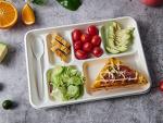 Vplus 100% Compostable 6 Compartment Plates, 90 Pack Compartment Paper Plate, 12.5x8.6 inch Disposable School Lunch Trays, Eco-Friendly Bagasse Plates for School Lunch, Buffet, and Party
