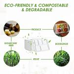 Vplus 100% Compostable 6 Compartment Plates, 90 Pack Compartment Paper Plate, 12.5x8.6 inch Disposable School Lunch Trays, Eco-Friendly Bagasse Plates for School Lunch, Buffet, and Party