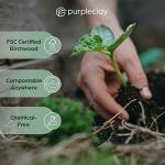 PURPLECLAY Wooden Disposable Utensils Set, 300 Pieces | Wrapped Utensils and Napkins, 100 Sets | Compostable Silverware for Parties | Eco Friendly, Plastic-Free Alternative to Bamboo Cutlery