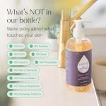 Puracy Foaming Hand Soap - Plant-Powered Natural Hand Soap As Seen on TikTok, Non-Toxic, Sulfate-Free Liquid Soap, Moisturizing Foam Handwash Liquid (Lavender & Vanilla, 12 fl oz, 3-Pack)