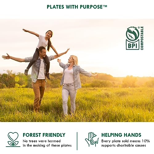 100% Compostable 9" Paper Plates - 125 Pack