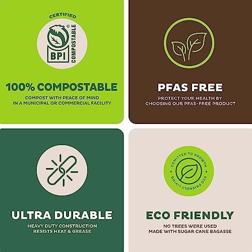 100% Compostable 9" Paper Plates - 125 Pack
