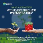 Gaias Premium Bamboo Toilet Paper - 12 Rolls