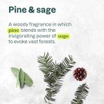 ATTITUDE EWG Verified Pine & Sage Hand Soap