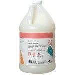 Ginger Lily Farms Eco-Friendly Apple Pear Hand Soap