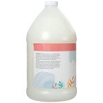 Ginger Lily Farms Eco-Friendly Apple Pear Hand Soap