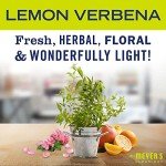 Mrs. Meyer's Lemon Verbena All-Purpose Cleaner Spray