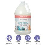 Ginger Lily Farms Eco-Friendly Apple Pear Hand Soap