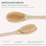 EcoTools Eco-Friendly Long Handle Bath Brush