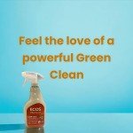 Eco-Friendly Furniture Polish, 22 Oz