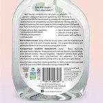 Parsley Plus Eco-Friendly Cleaner - 22 oz (3-Pack)