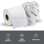 Eco-Friendly 2-Ply Recycled Toilet Paper Rolls