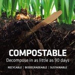 Compostable Wooden Cutlery Set - 100 Count
