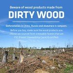 Compostable Wooden Cutlery Set - 100 Count