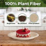 125 Eco-Friendly 7" Compostable Sugarcane Plates