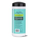 Aunt Fannie's Eucalyptus Eco-Friendly Wipes, 35 Count