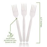 Ecovita 100% Compostable Large Disposable Forks - 500 Count