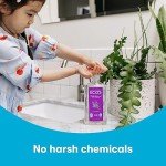 Lavender Eco-Friendly Hand Soap, 17-Ounce (Pack of 6)