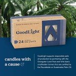 Vegan Palm Wax Eco-Friendly Tealight Candles - 24 Pack