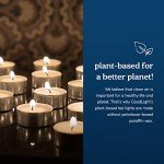 Vegan Palm Wax Eco-Friendly Tealight Candles - 24 Pack