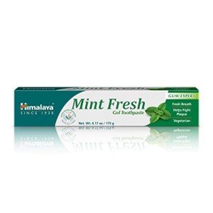 Himalaya Mint Fresh Fluoride-Free Toothpaste, 6.17 oz