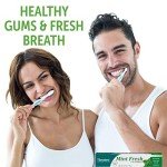 Himalaya Mint Fresh Fluoride-Free Toothpaste, 6.17 oz