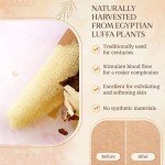 Natural Egyptian Loofah Sponge for Exfoliating Care