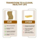 Biodegradable Kitchen Sponge Set – 12 Pack