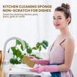 Biodegradable Kitchen Sponge Set – 12 Pack