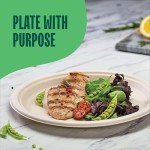 Compostable Heavy-Duty 10-Inch Paper Plates, 125-Pack
