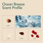 Eco-Friendly Laundry Detergent Sheets - Ocean Breeze