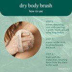 EcoTools Dry Body Brush for Smooth, Exfoliated Skin