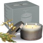 Natural Soy Sandalwood Scented Candle - 10.58 oz