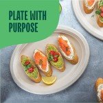 Compostable Oval Paper Plates - 50-Pack 12