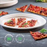 Compostable Oval Paper Plates - 50-Pack 12