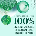 Seventh Generation Garden Mint Multi-Purpose Cleaning Wipes