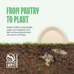 Compostable Oval Paper Plates - 50-Pack 12
