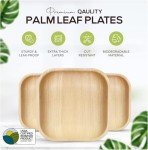 Eco-Friendly Palm Leaf and Bamboo Disposable Plates Set