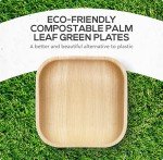 Eco-Friendly Palm Leaf and Bamboo Disposable Plates Set