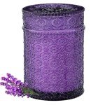 Lavender Vanilla Soy Candle, 15.87oz Eco-Friendly